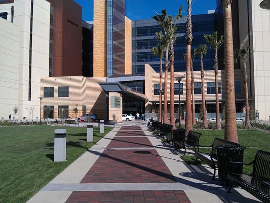 Lighting Audit Services UCIMC University of California Irvine Medical Center Lighting Audit